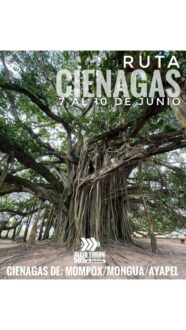 CIENAGAS DE MOMPOX 7 al 10 de Junio